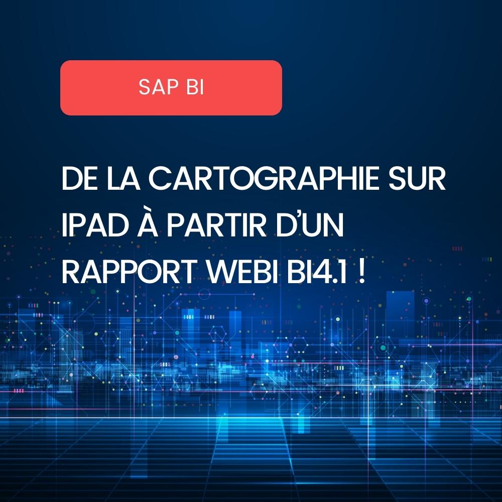 Rapport cartographie bi 4.1