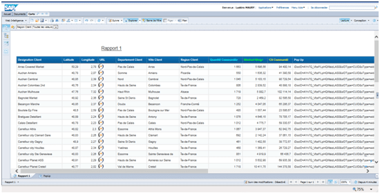 Couleur titre SAP Bi Mobile