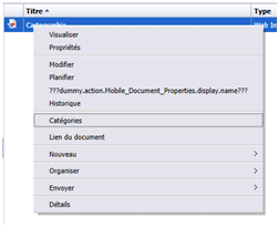 Enregistrer document SAP BI Mobile