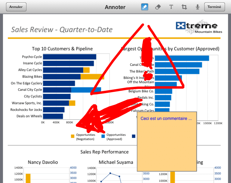 Annoter un document BI Mobile