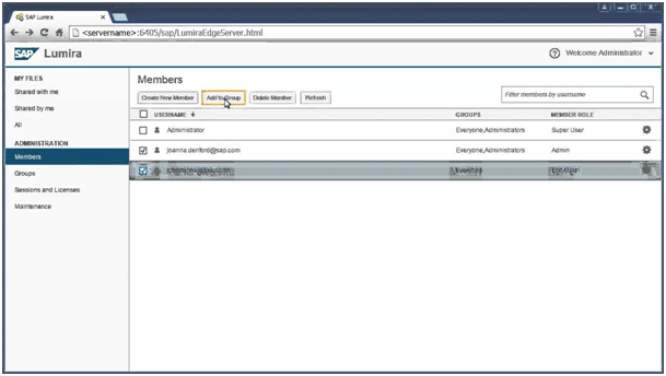 Interface Lumira Server