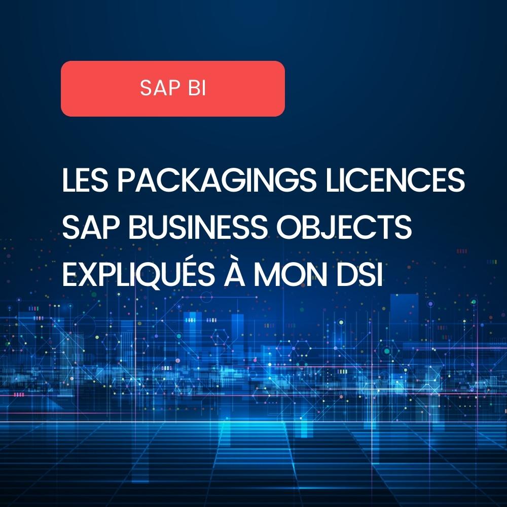 Licences Business Objects