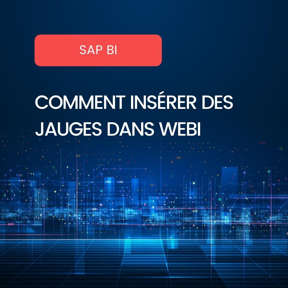 Jauges Webintelligence
