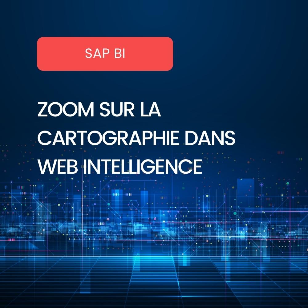 Cartographie WebIntelligence