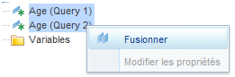 Fusion attributs bi 4.1