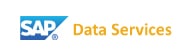 Logo Data Services