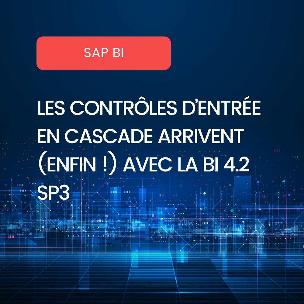 Controles d'entrée en cascade BI4