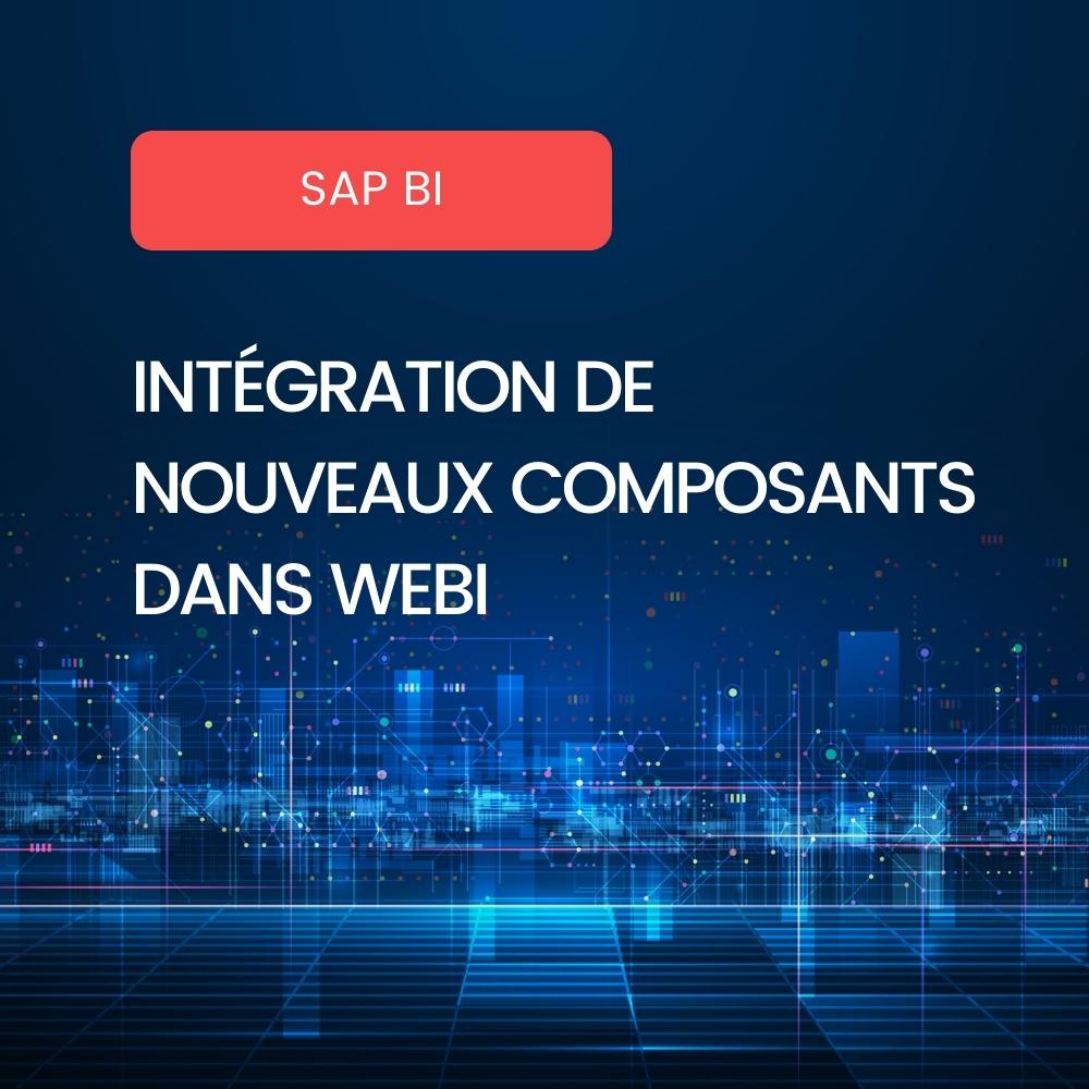 Webi Speedometers