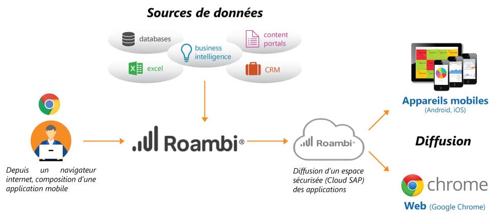 Architecture RoamBI