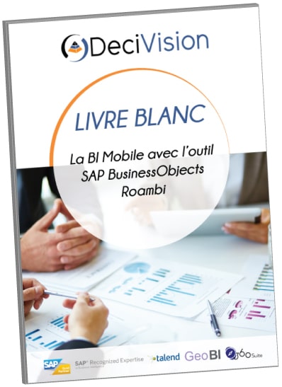 Livre blanc Roambi