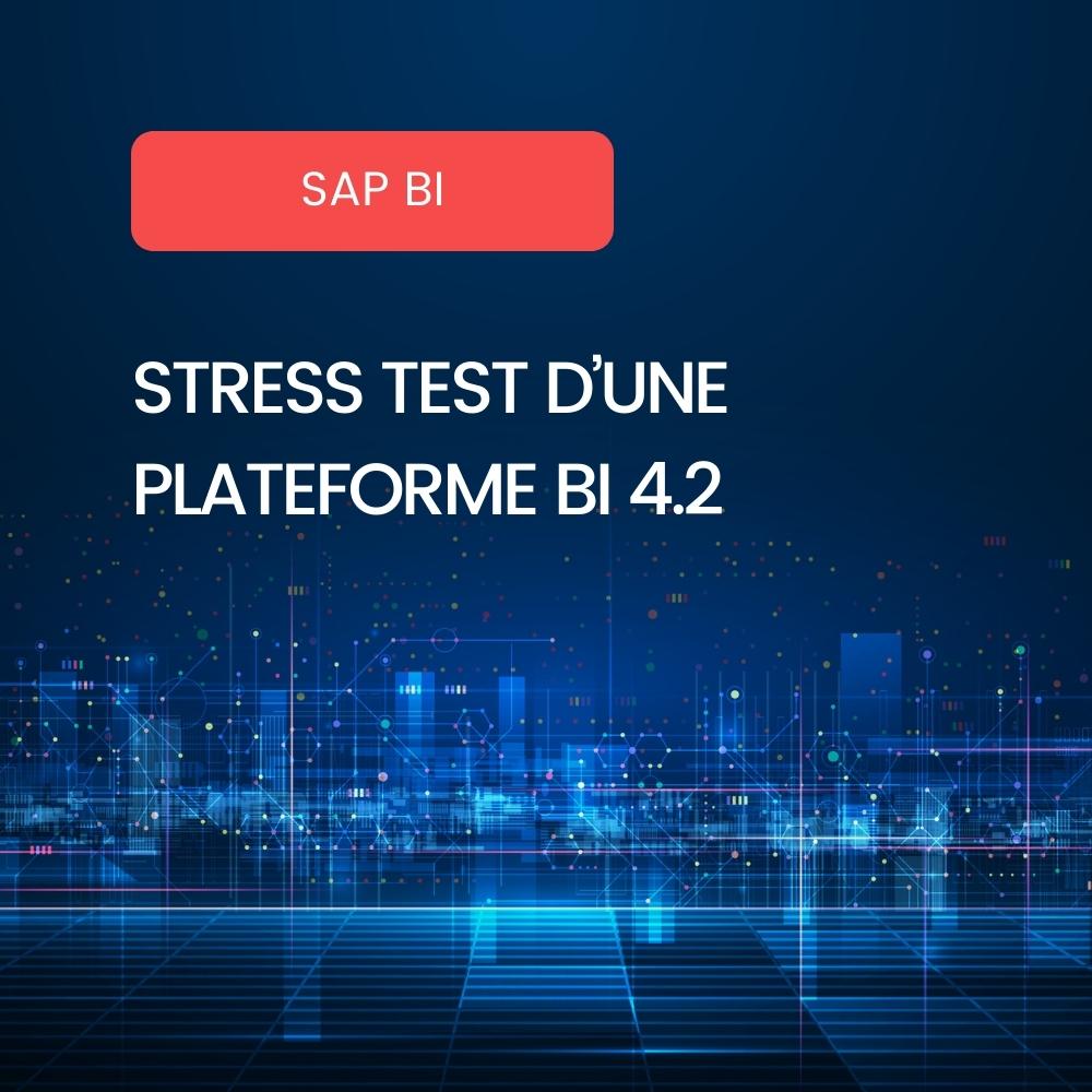 Stress test plateforme SAP BI4