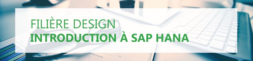 Formation Introduction SAP HANA HA100