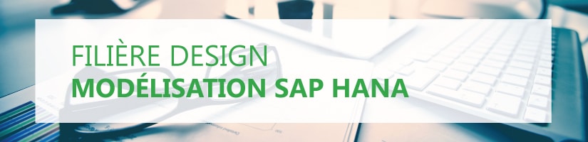 Formation Modélisation SAP HANA HA300