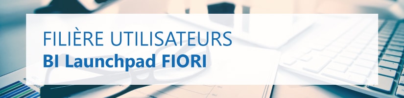 Formation BI Launchpad FIORI