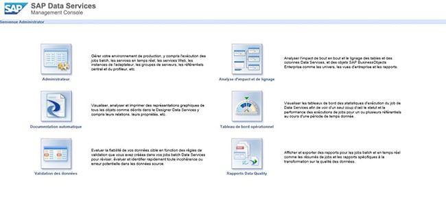 Console Management SAP Data Services