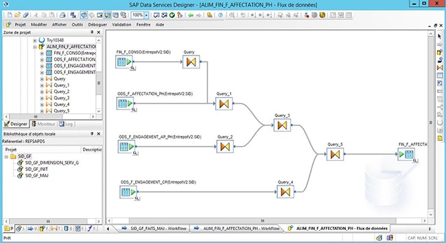 Flux SAP Data Services