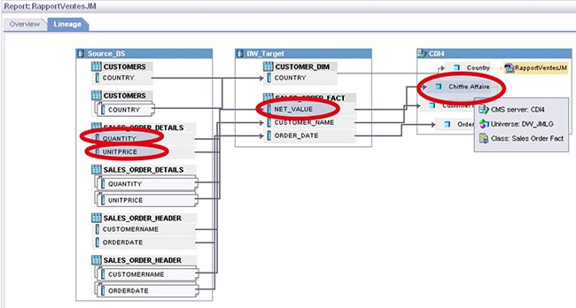 Metadata Report Data Services