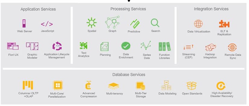 Plateforme SAP HANA