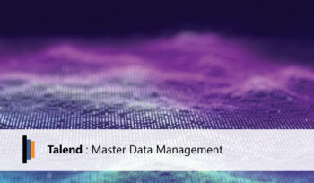 Talend Master Data Management