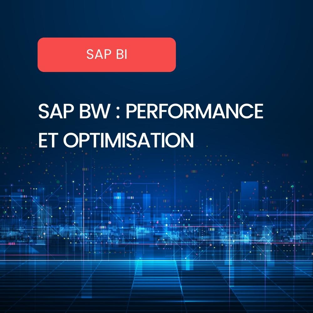 Performance et Optimisation SAP BW