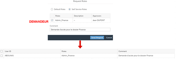 Requêtes privilèges SAP Analytics Cloud