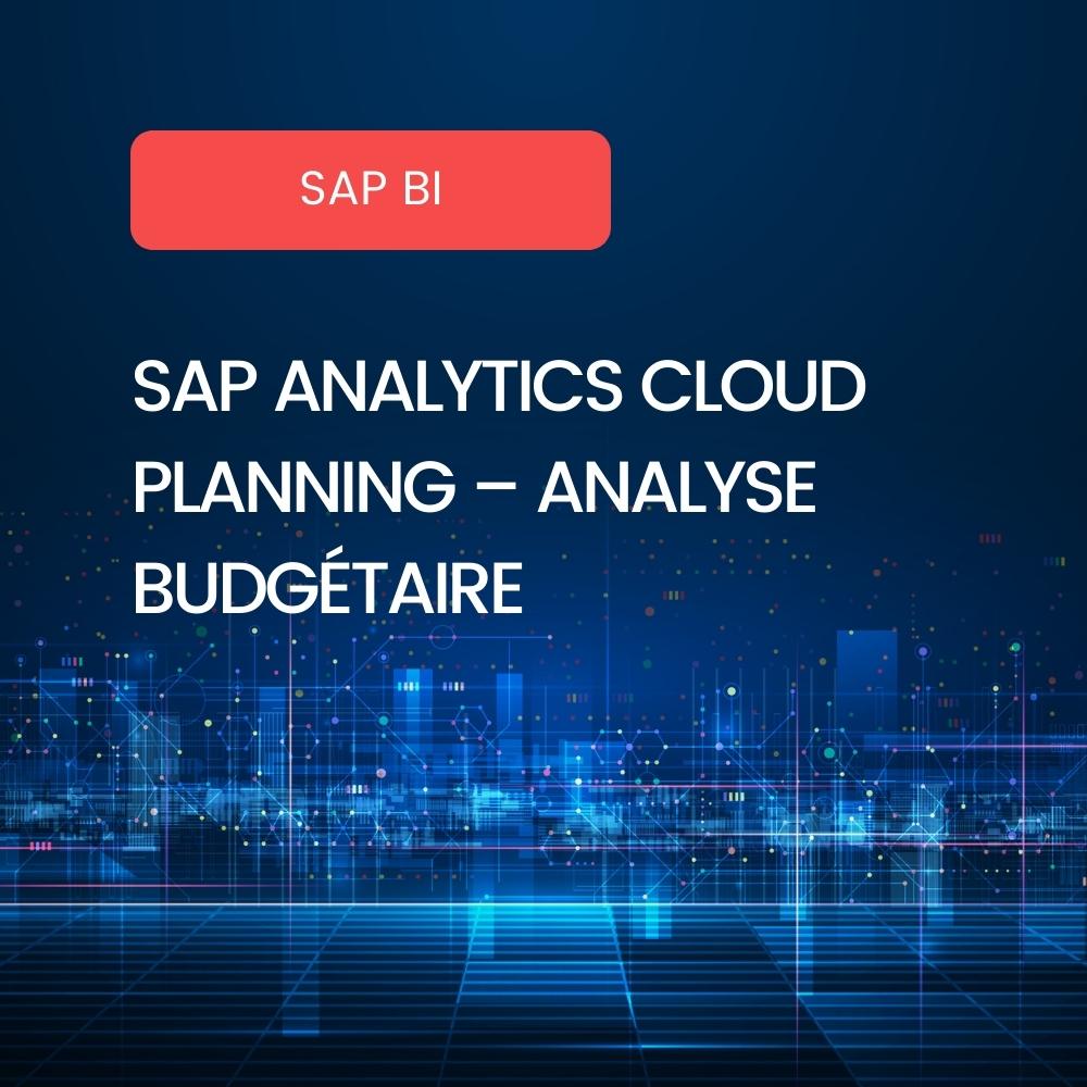 Planning et Analyse Budgétaire SAP Analytics Cloud