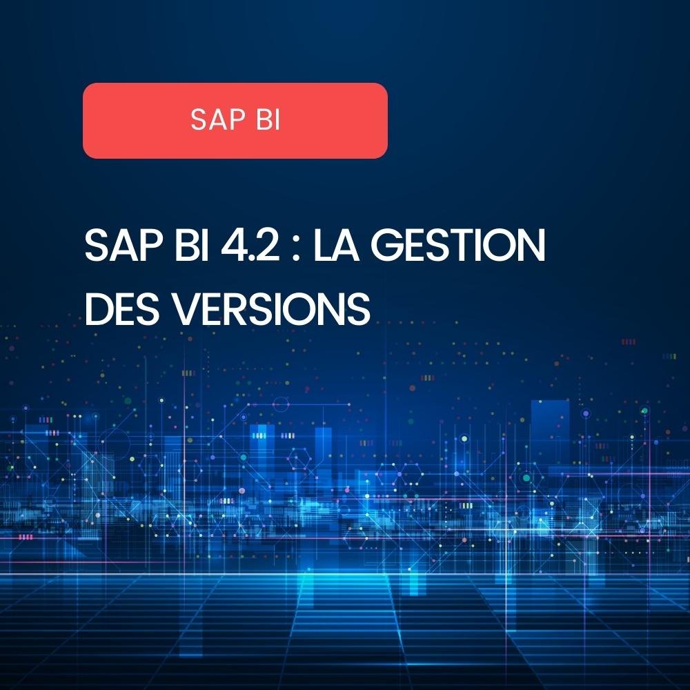 Versioning SAP BusinessObjects