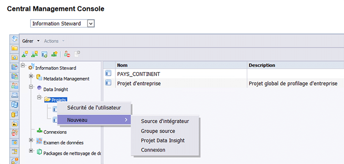 Création du projet Data Insight