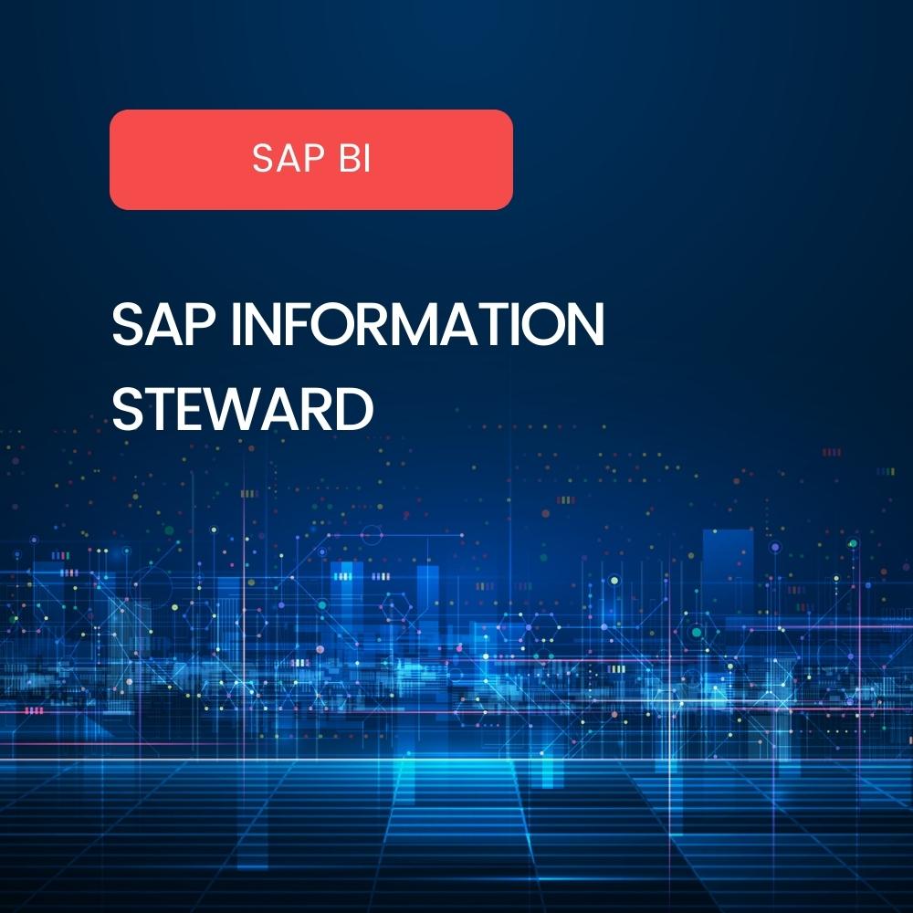 SAP Information Steward