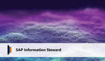 SAP Information Steward