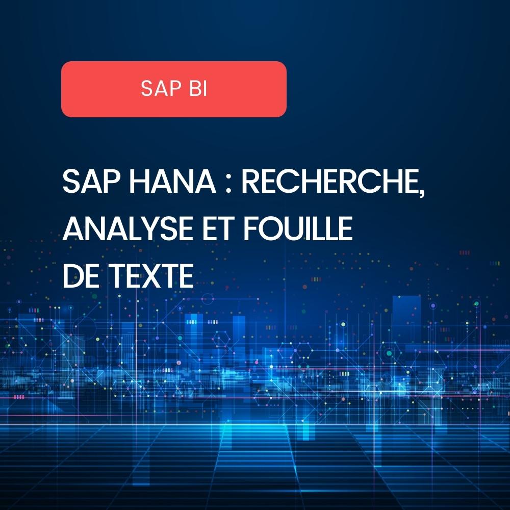 Text Mining sur SAP HANA