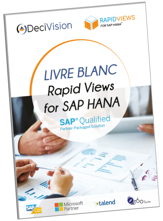 Livre blanc Rapid Views for SAP HANA