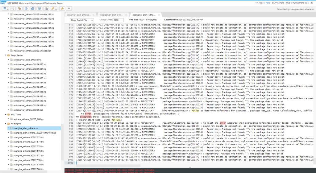 Traces SAP HANA web Based Development Workbench