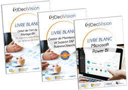 Livres blancs DeciVision