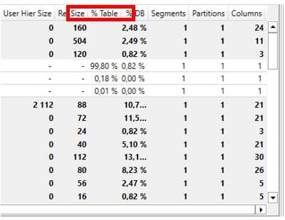 Excel Vertipaq Analyser details des metadonnees