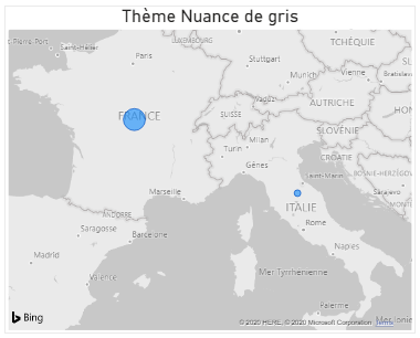 Theme nuance de gris carte power bi