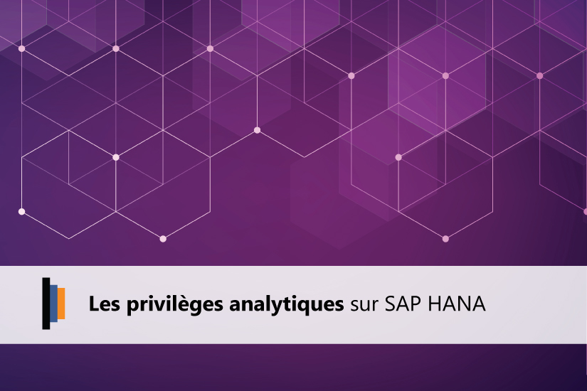Privileges analytiques SAP HANA
