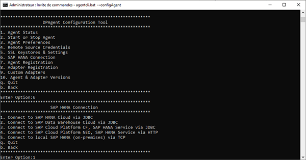 Choix option 1 pour la configuration du data provisioning agent