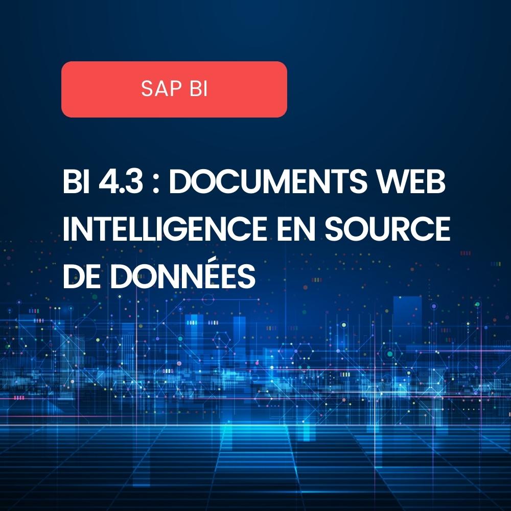 Data Model Web Intelligence en BI 4.3