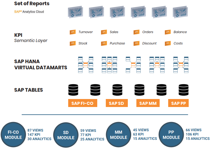 What is RapidViews ?