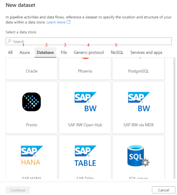 Dataset Azure Data Factory