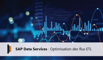 SAP Data Services : Optimisation des Flux ETL