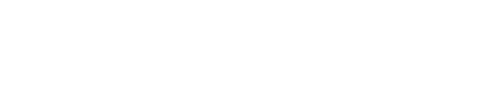 Logo DeciVision Blanc