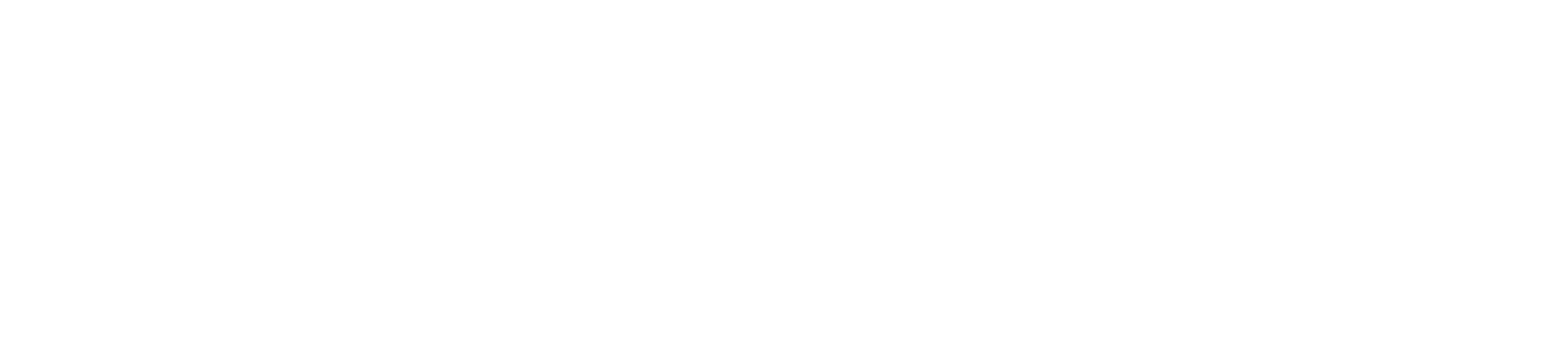 DeciVision