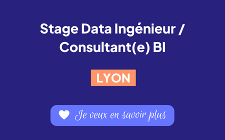 Recrutement consultant BI Lyon Stage