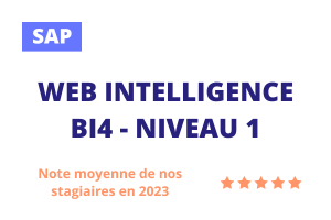 Formation Web Intelligence niveau 1