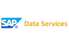 Logo SAP Data Services