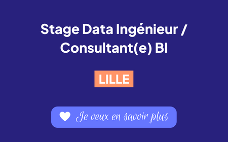 Recrutement consultant BI Lille Stage