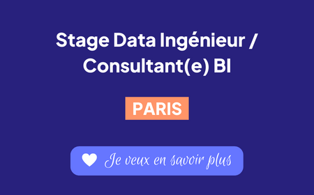 Recrutement consultant BI Paris Stage