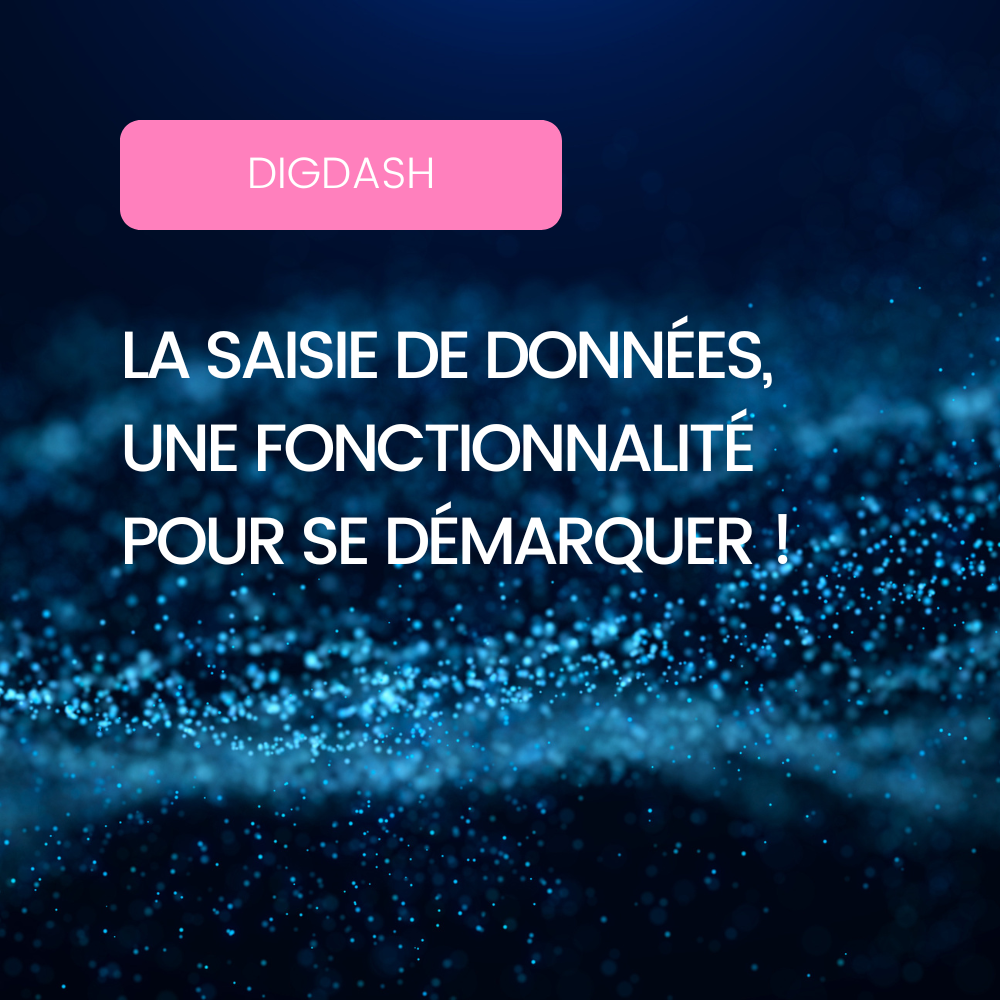 Affiche Blog DigDash - Saisie de données